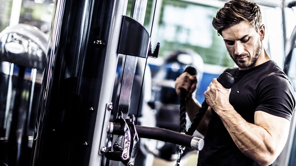 Why You Should Buy Used Hammer Strength Equipment for Sale