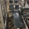 Nautilus Adjustable Abdominal Bench