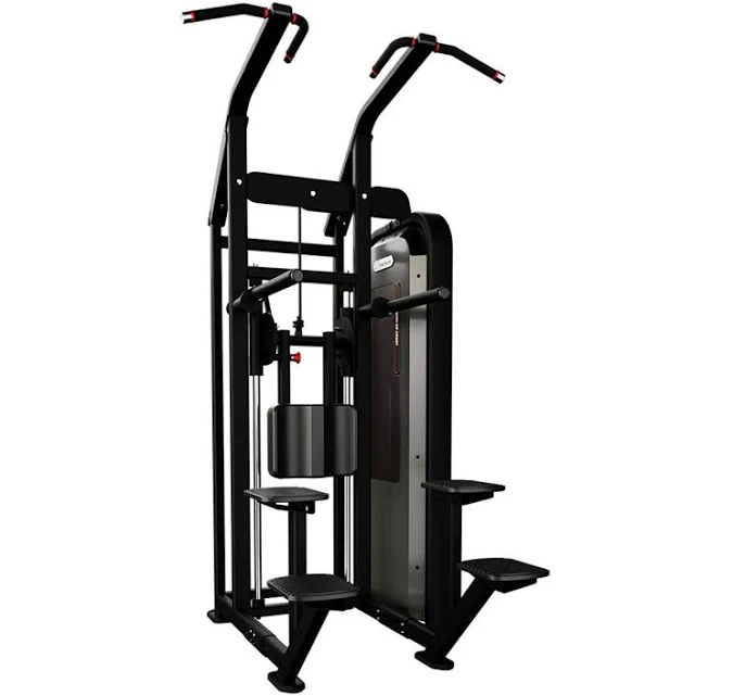 Nautilus Impact Chin Dip Assist-New