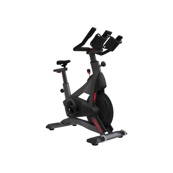 Schwinn Zs Indoor Cycling Bike